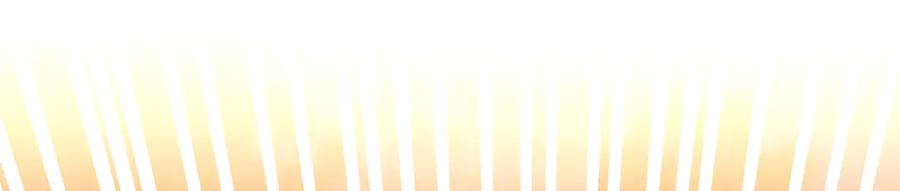 231.jpg
