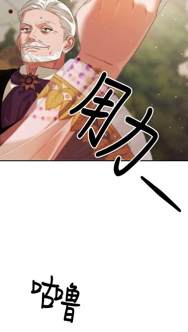 第27话-掠夺婚姻-（第11张）