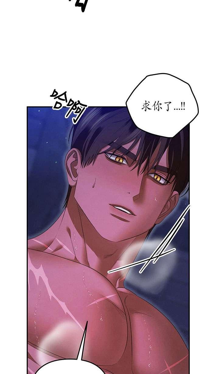 第34话-掠夺婚姻-（第29张）