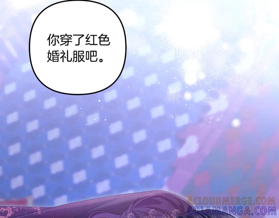 第74话新婚之夜-掠夺婚姻-（第17张）
