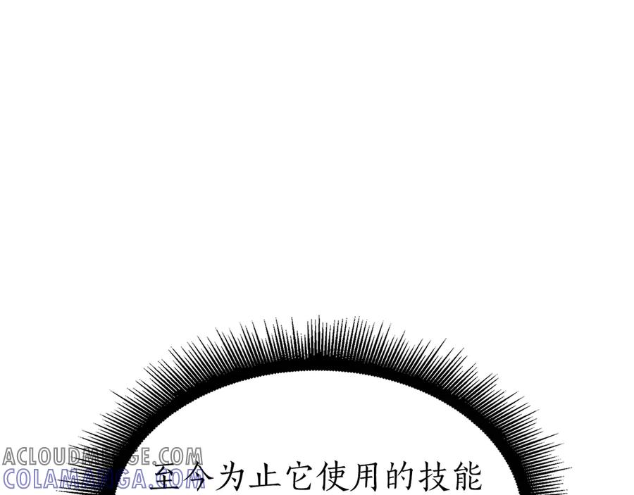 113.jpg