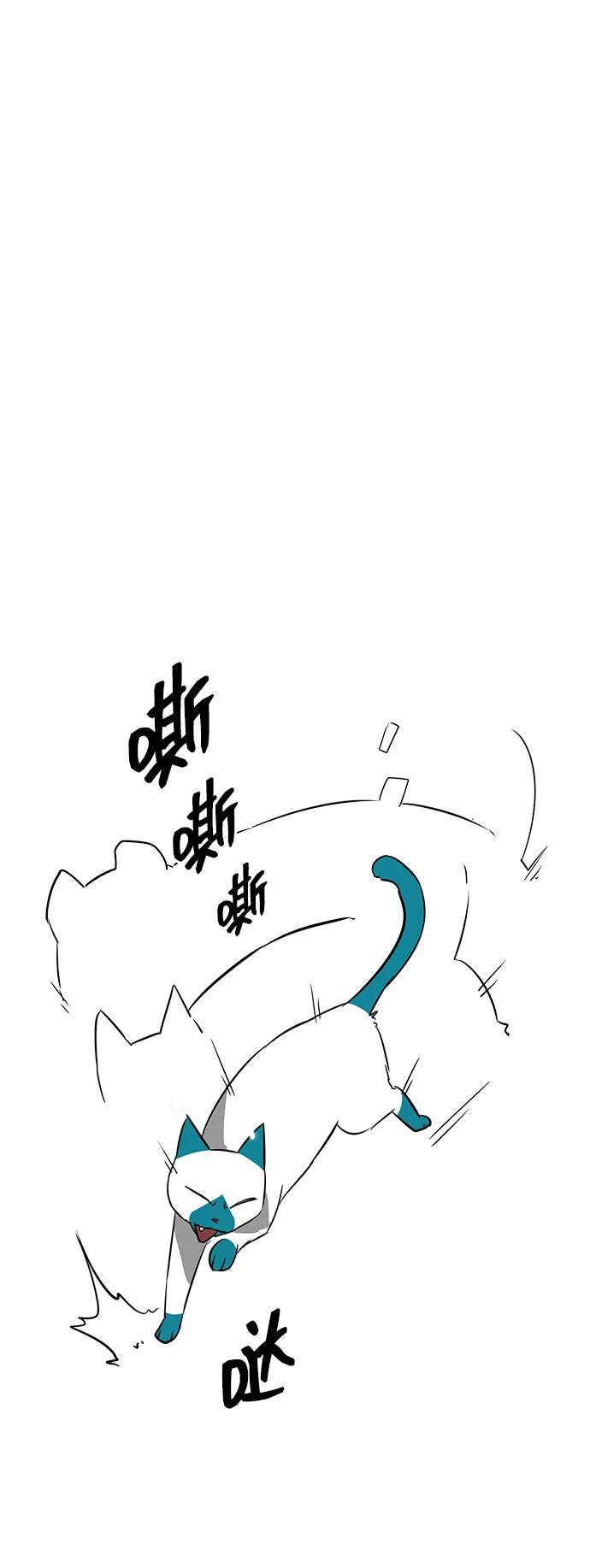 66.jpg