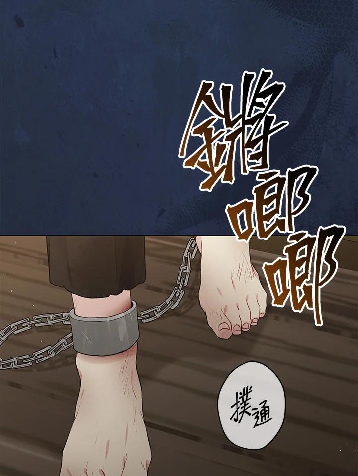 100.jpg