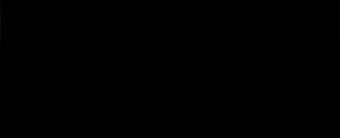 96.jpg