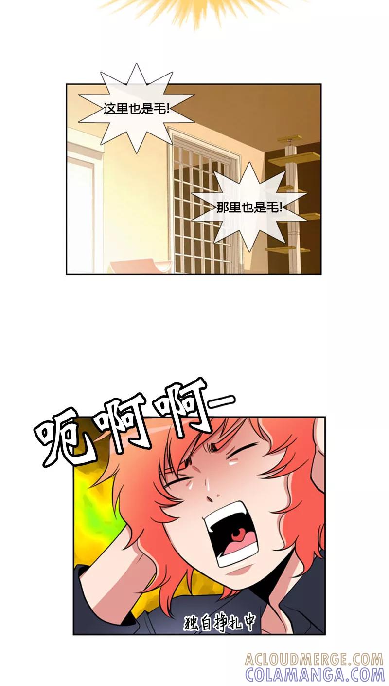 第69话-ICE-Cold要员的捡猫事件-漫拍拍 金耶琳 张流拉（第15张）