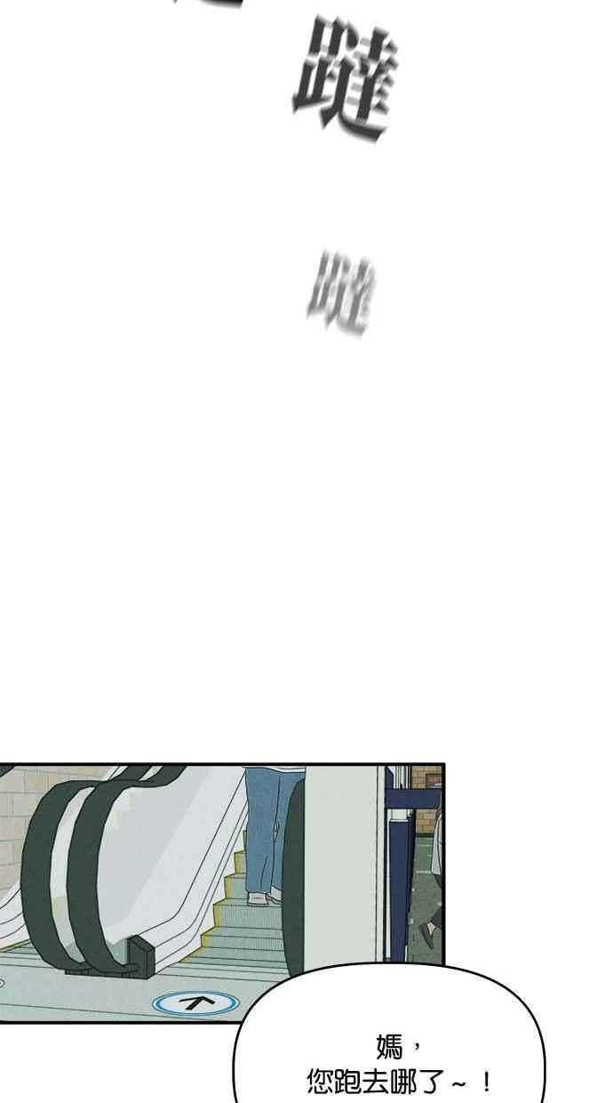 47.jpg