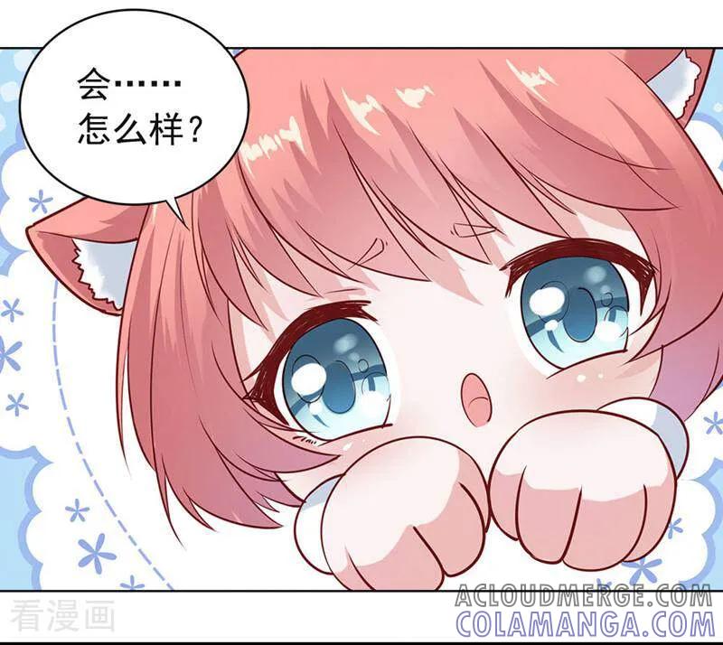 第11话-以猫的名义爱上你-咪咕数媒（第10张）