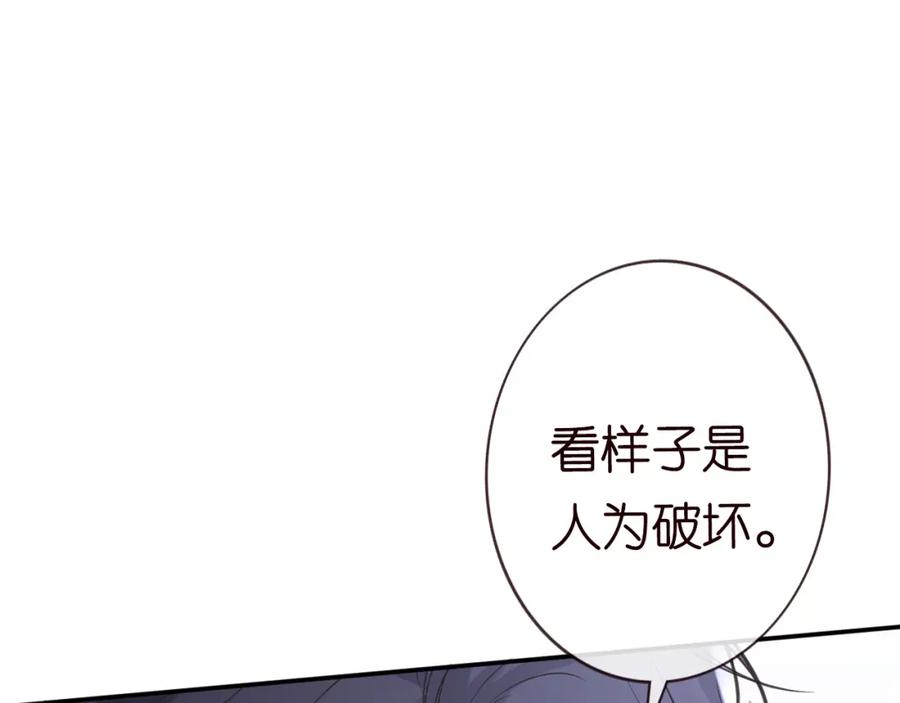 第132见家长-满级大佬翻车以后-纳兰闲（原著）+虎岫工作室（第15张）