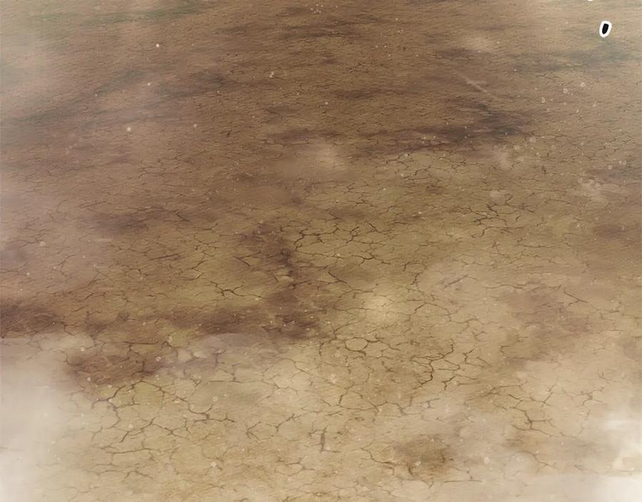 252.jpg