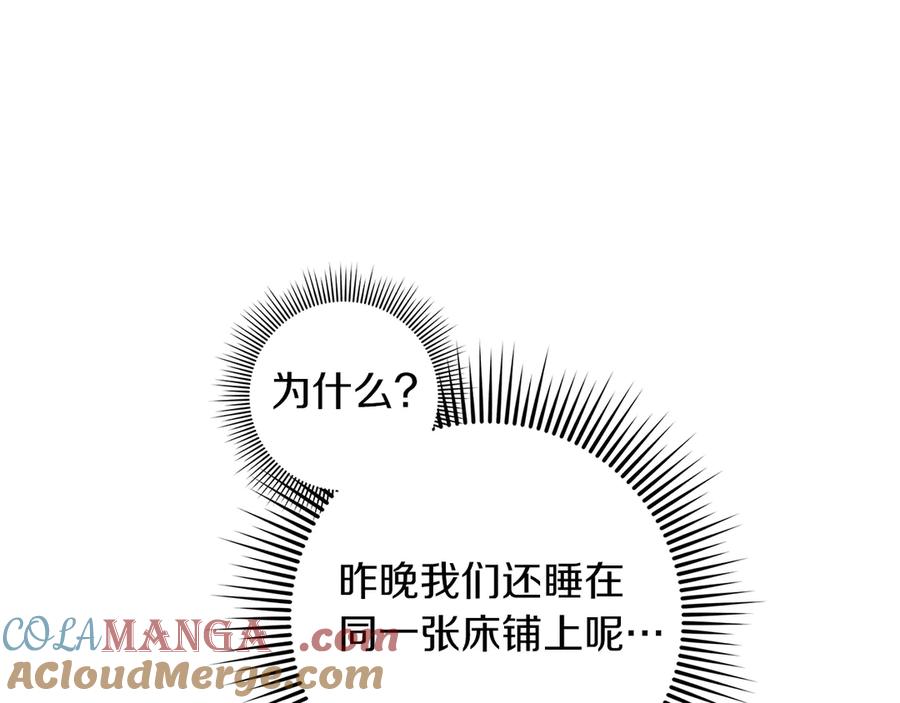 213.jpg