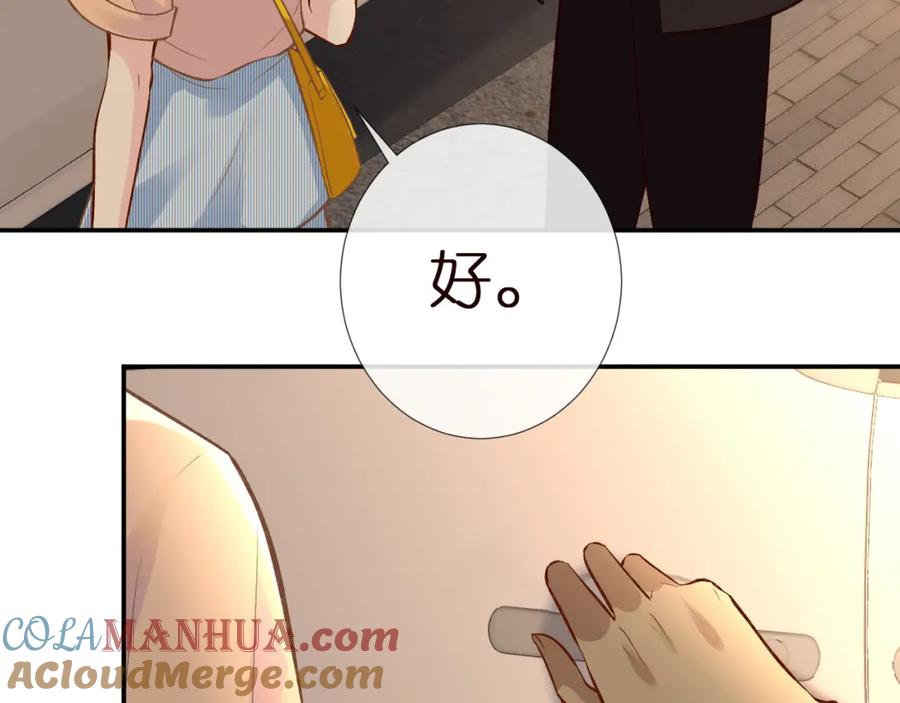 第156大小姐的秘密-满级大佬翻车以后-纳兰闲（原著）+虎岫工作室（第13张）