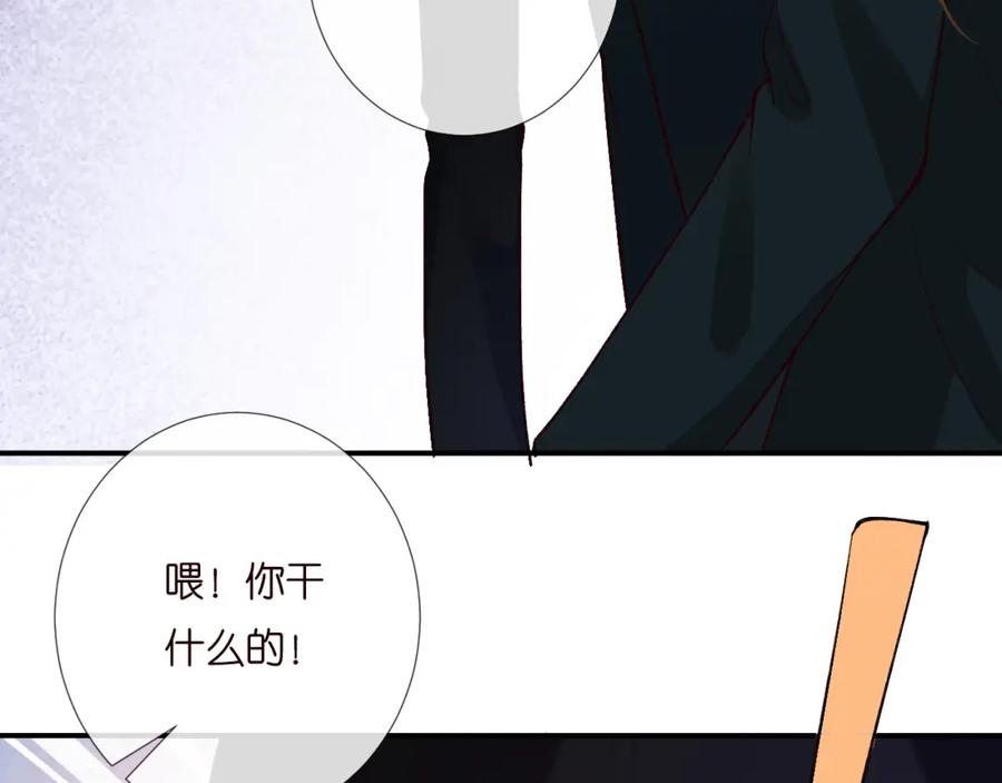 第202袭击-满级大佬翻车以后-纳兰闲（原著）+虎岫工作室（第20张）
