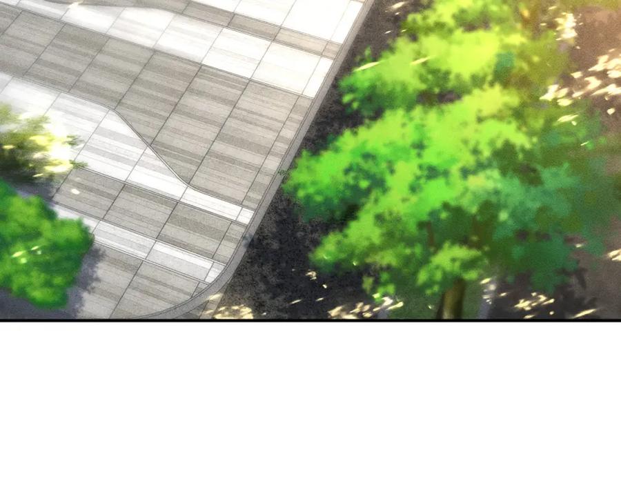 第251妈妈的追爱指南-满级大佬翻车以后-纳兰闲（原著）+虎岫工作室（第6张）