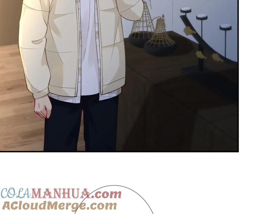 第253副会长的阴谋-满级大佬翻车以后-纳兰闲（原著）+虎岫工作室（第31张）