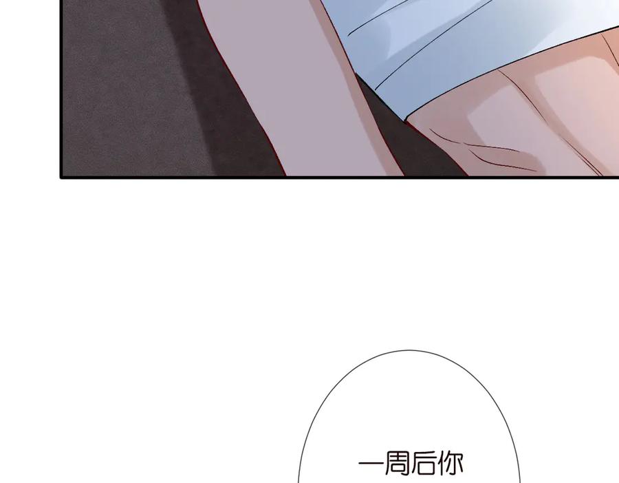 第315霍杳的秘密-满级大佬翻车以后-纳兰闲（原著）+虎岫工作室（第10张）