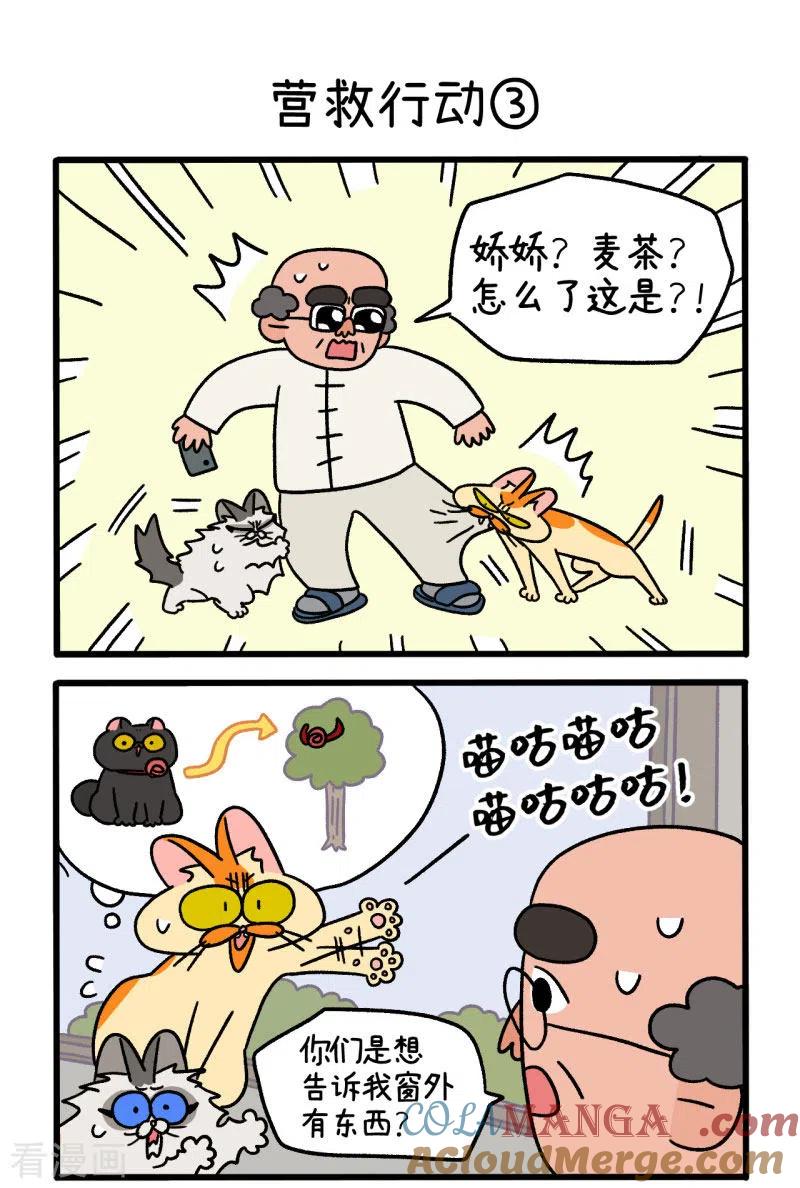 第44话1营救行动-阿满和麦茶-新漫画 日胖大海寺（第4张）