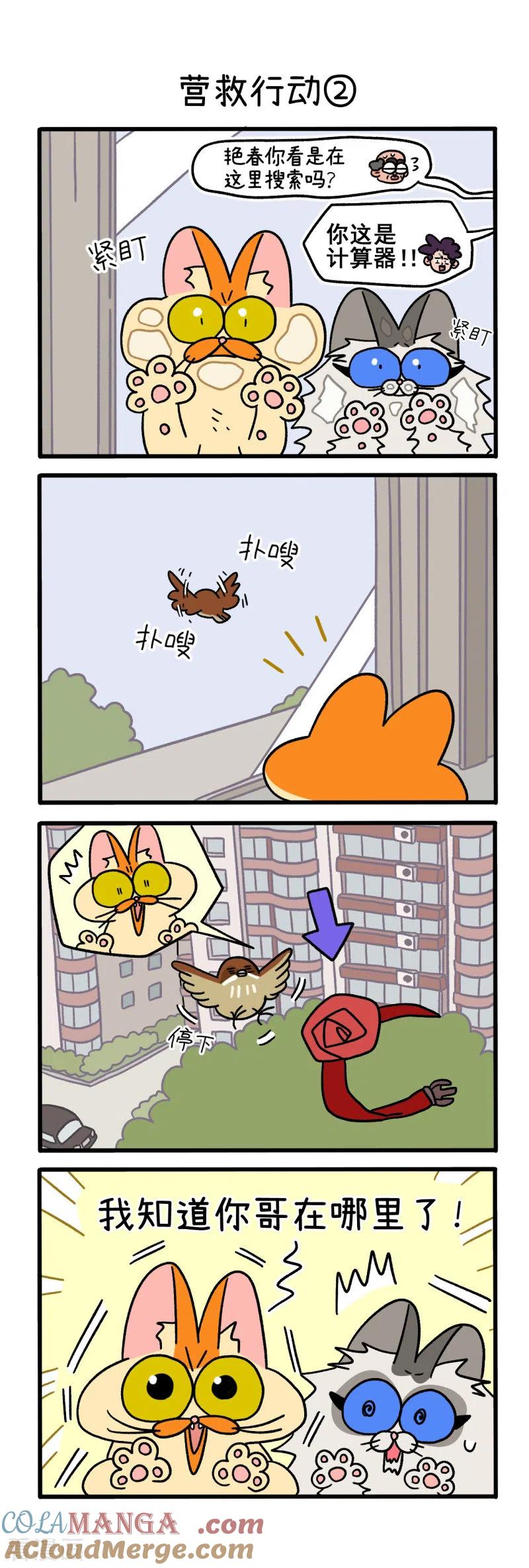 第44话1营救行动-阿满和麦茶-新漫画 日胖大海寺（第3张）
