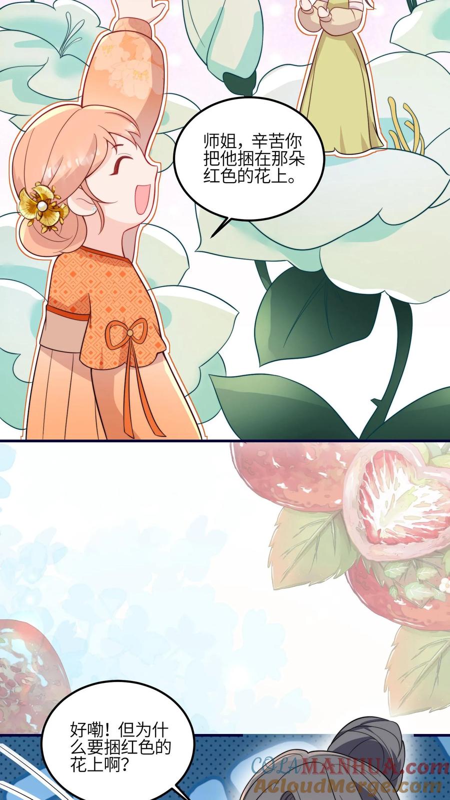 15.jpg