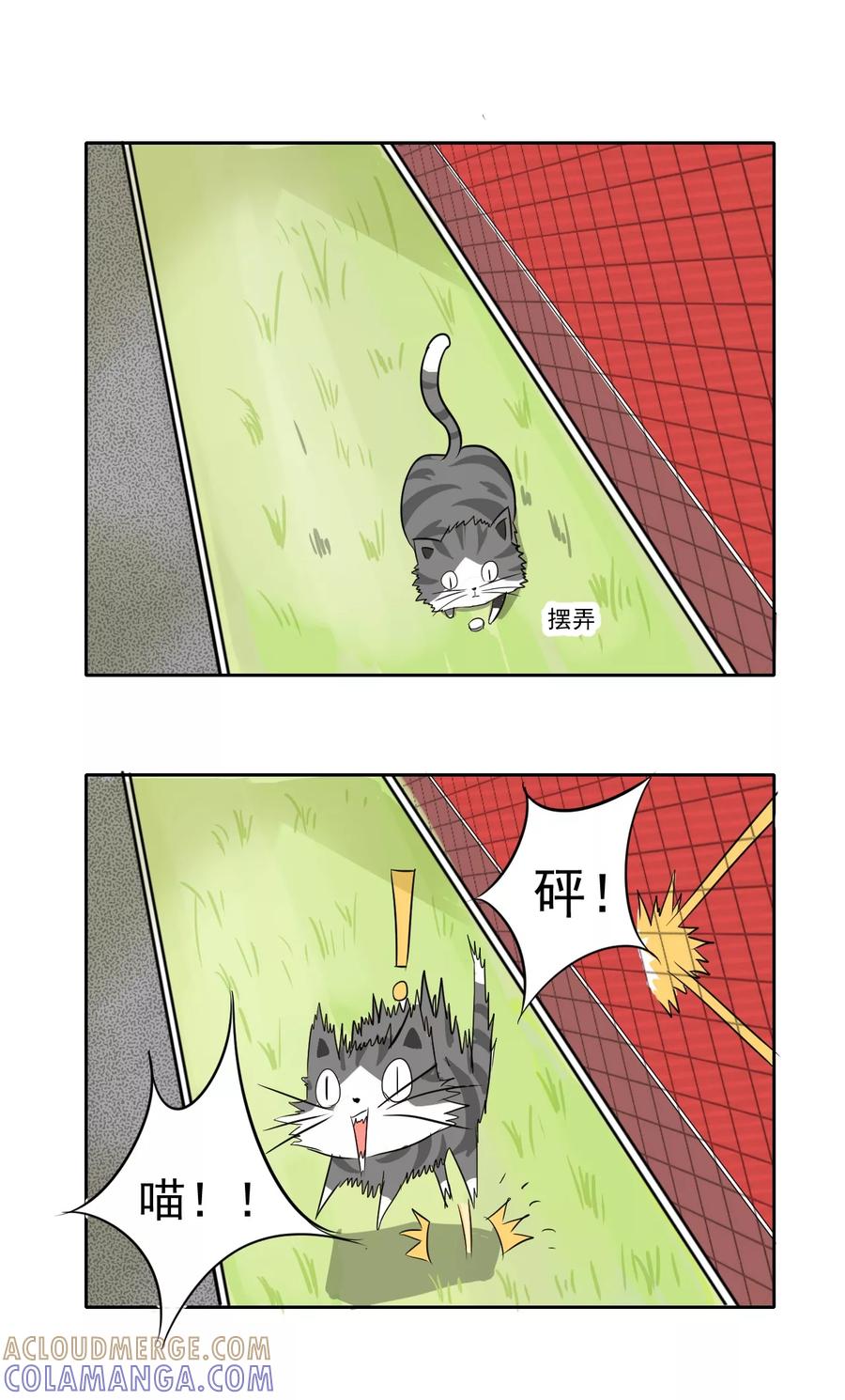 第1话-猫的制作人-极漫文化（第2张）