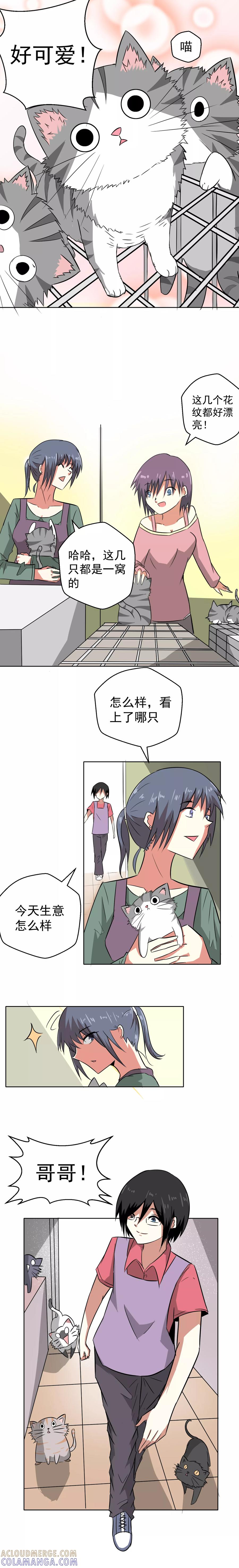 第3话-猫的制作人-极漫文化（第2张）