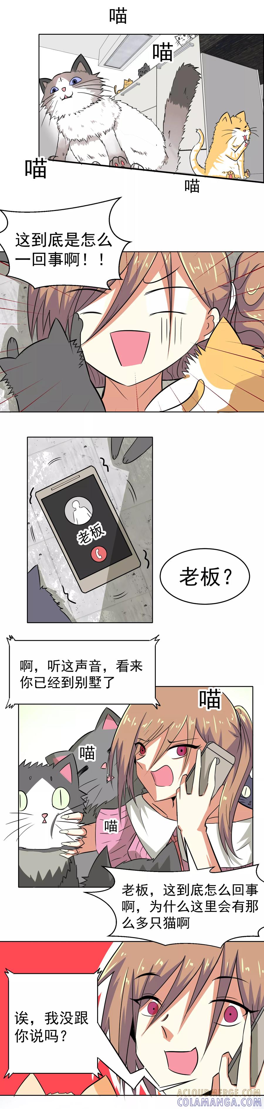 第4话-猫的制作人-极漫文化（第4张）