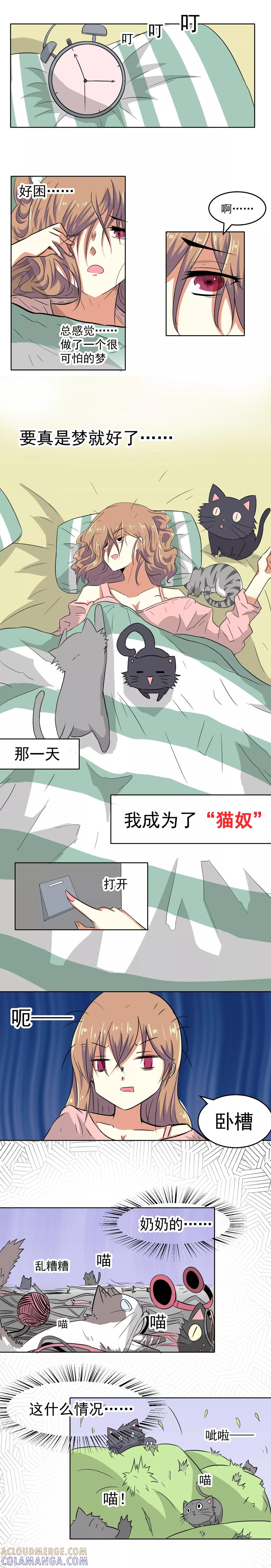第5话-猫的制作人-极漫文化（第2张）