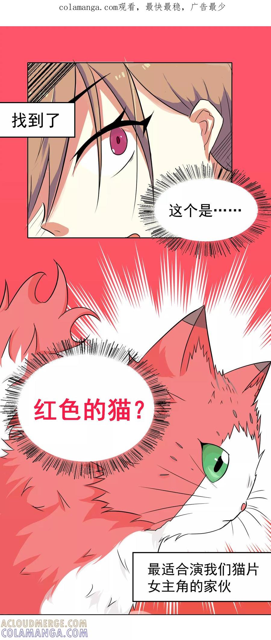 第8话-猫的制作人-极漫文化（第1张）