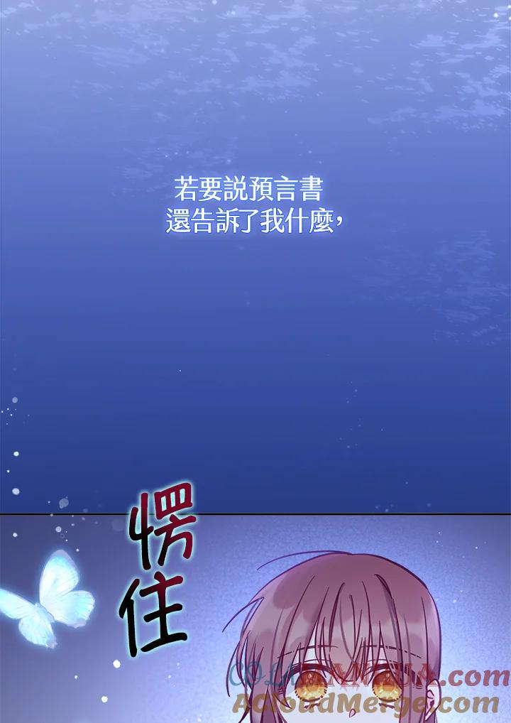 113.jpg