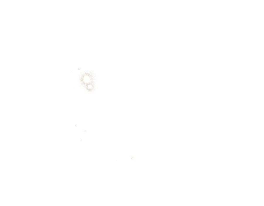103.jpg