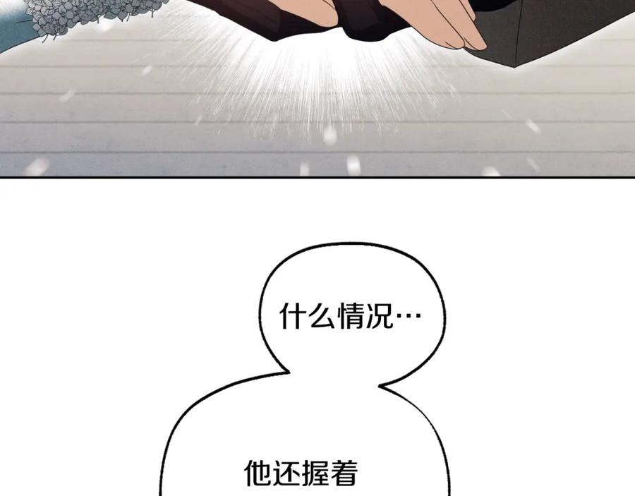 147.jpg