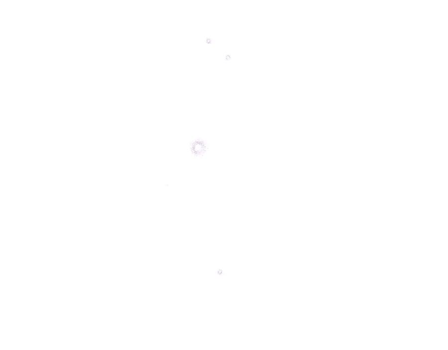 59.jpg