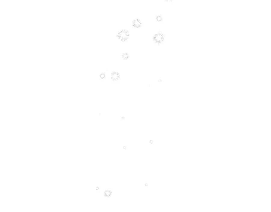 46.jpg