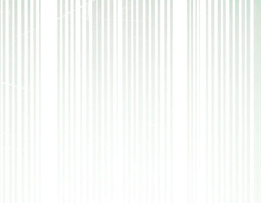 91.jpg