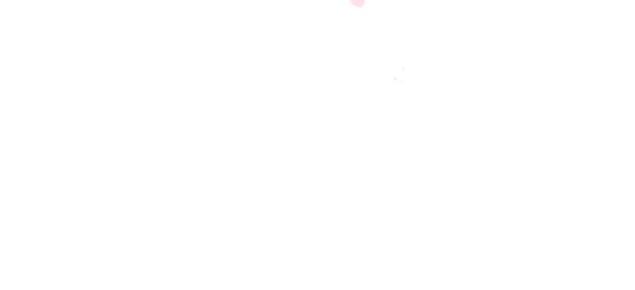 96.jpg