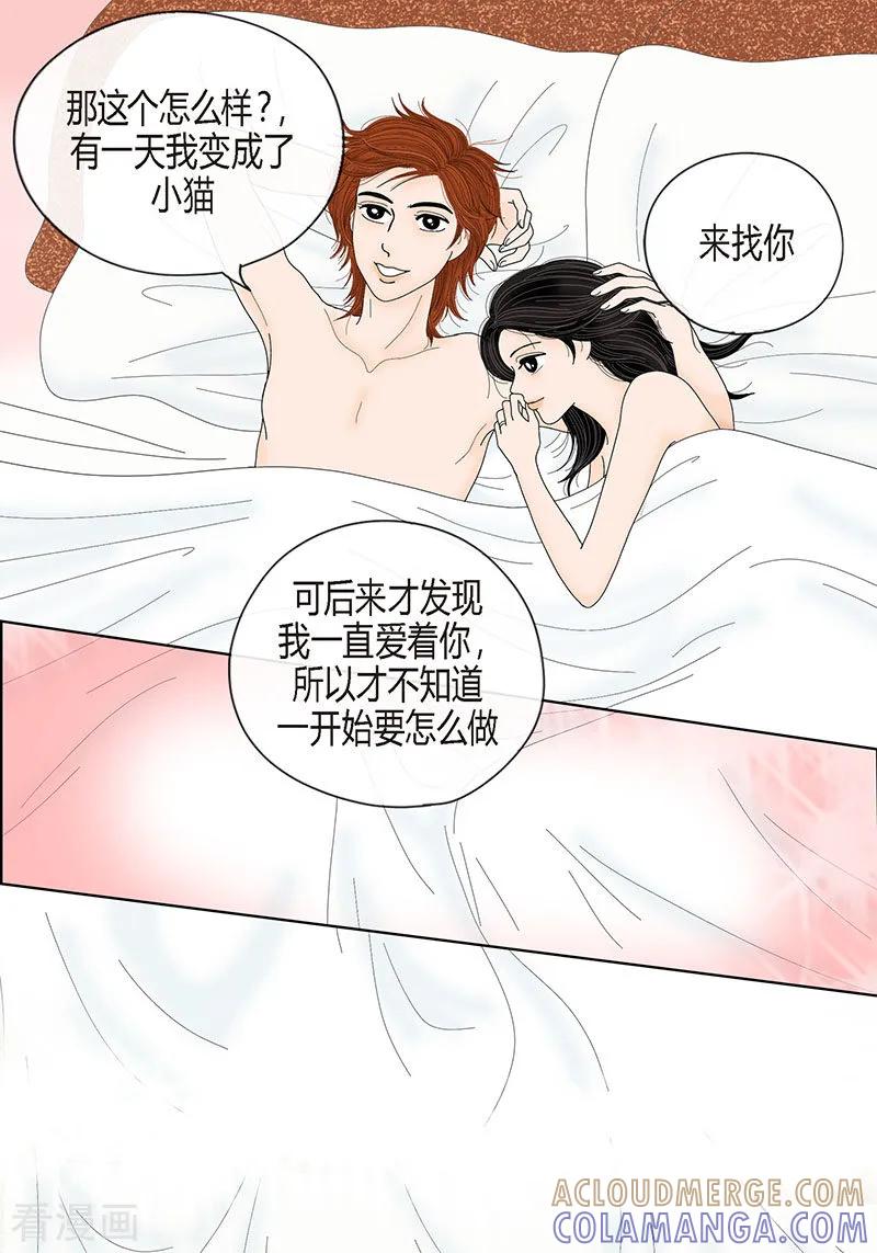 序章-猫王子-蓝文文化（第9张）