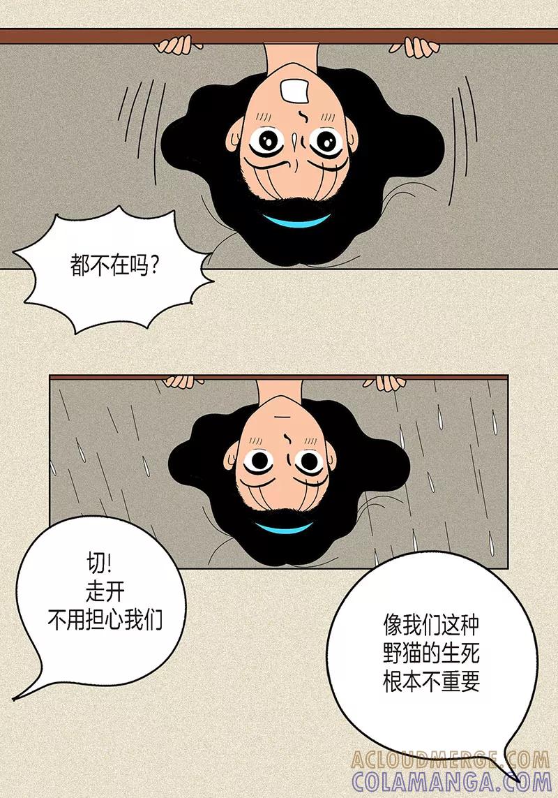第9话走后门的油条-猫王子-蓝文文化（第7张）