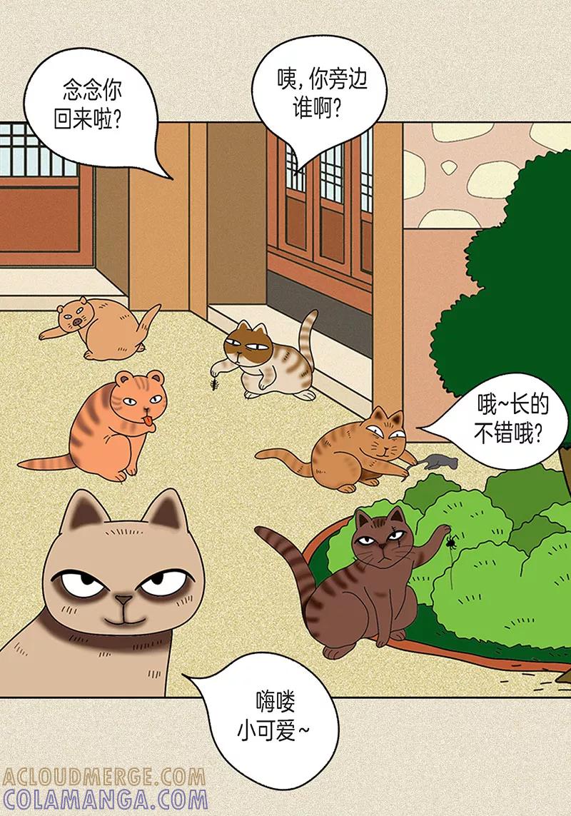 第16话念念救我-猫王子-蓝文文化（第5张）