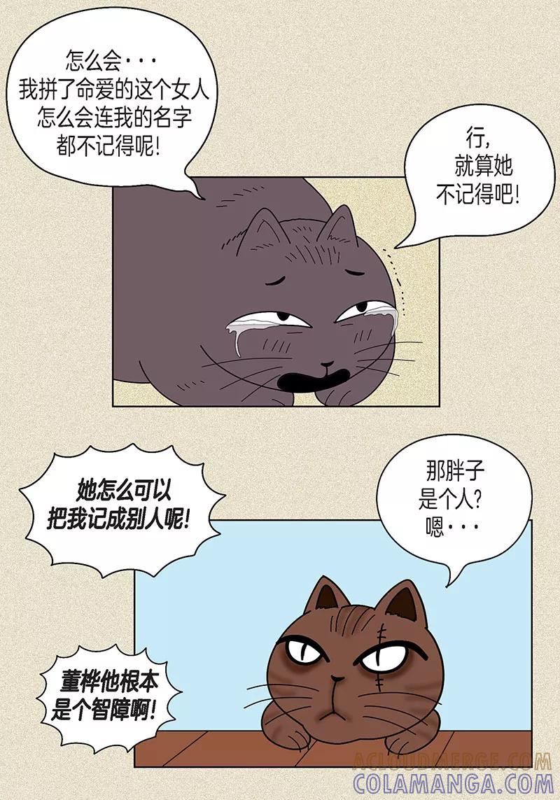 第17话油条的身世-猫王子-蓝文文化（第21张）