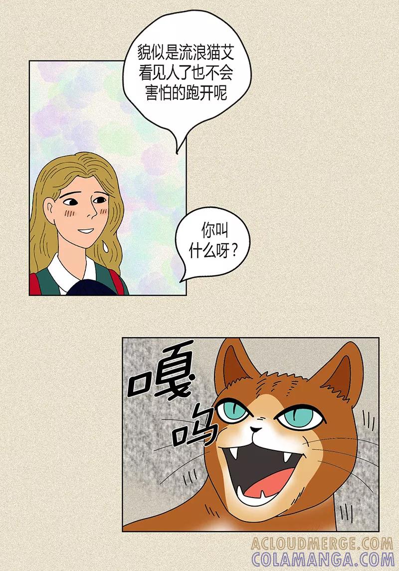 第17话油条的身世-猫王子-蓝文文化（第17张）