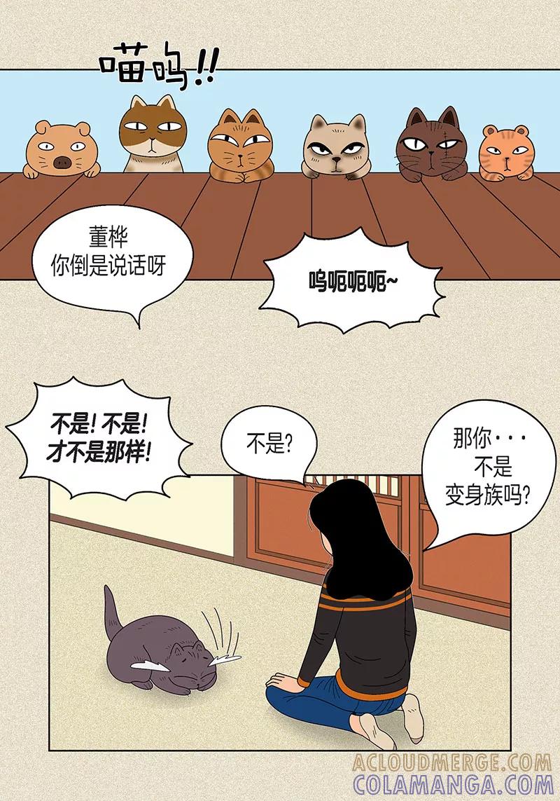 第17话油条的身世-猫王子-蓝文文化（第19张）