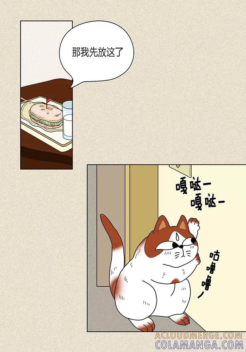 第22话扑到你的怀里-猫王子-蓝文文化（第3张）