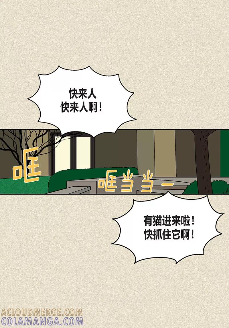 第22话扑到你的怀里-猫王子-蓝文文化（第9张）