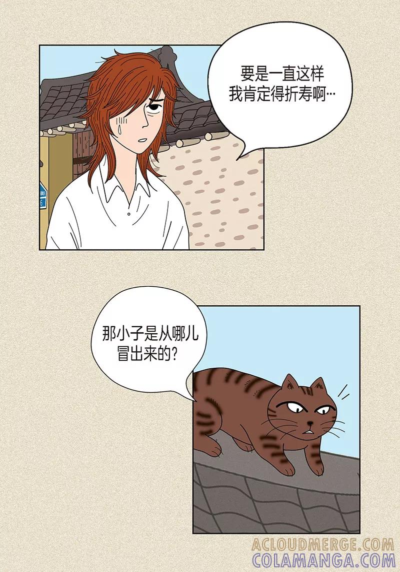 第24话英雄救美-猫王子-蓝文文化（第5张）