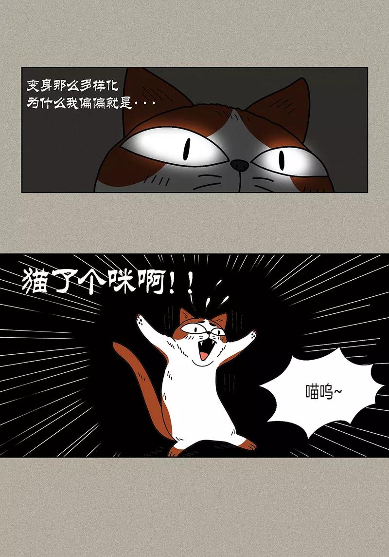 第2话我会说猫语-猫王子-蓝文文化（第6张）