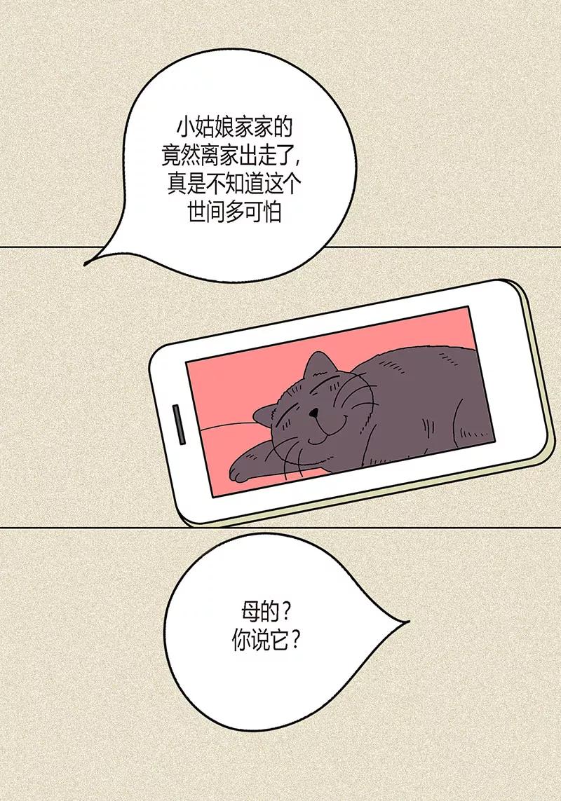 第5话变态王子-猫王子-蓝文文化（第2张）