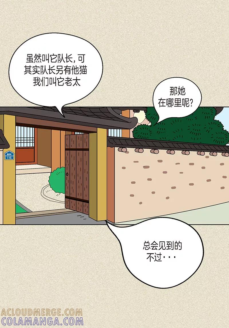 第5话变态王子-猫王子-蓝文文化（第4张）