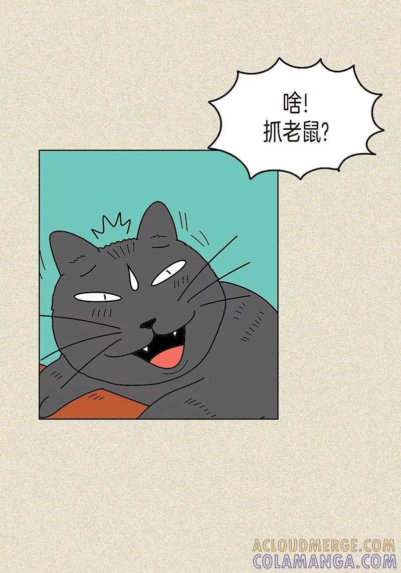 第5话变态王子-猫王子-蓝文文化（第7张）