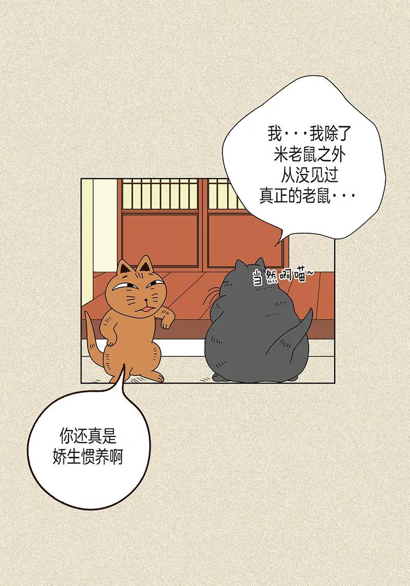 第5话变态王子-猫王子-蓝文文化（第8张）