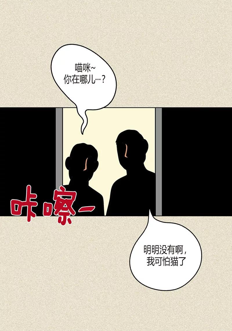 第8话“流浪”喵-猫王子-蓝文文化（第2张）