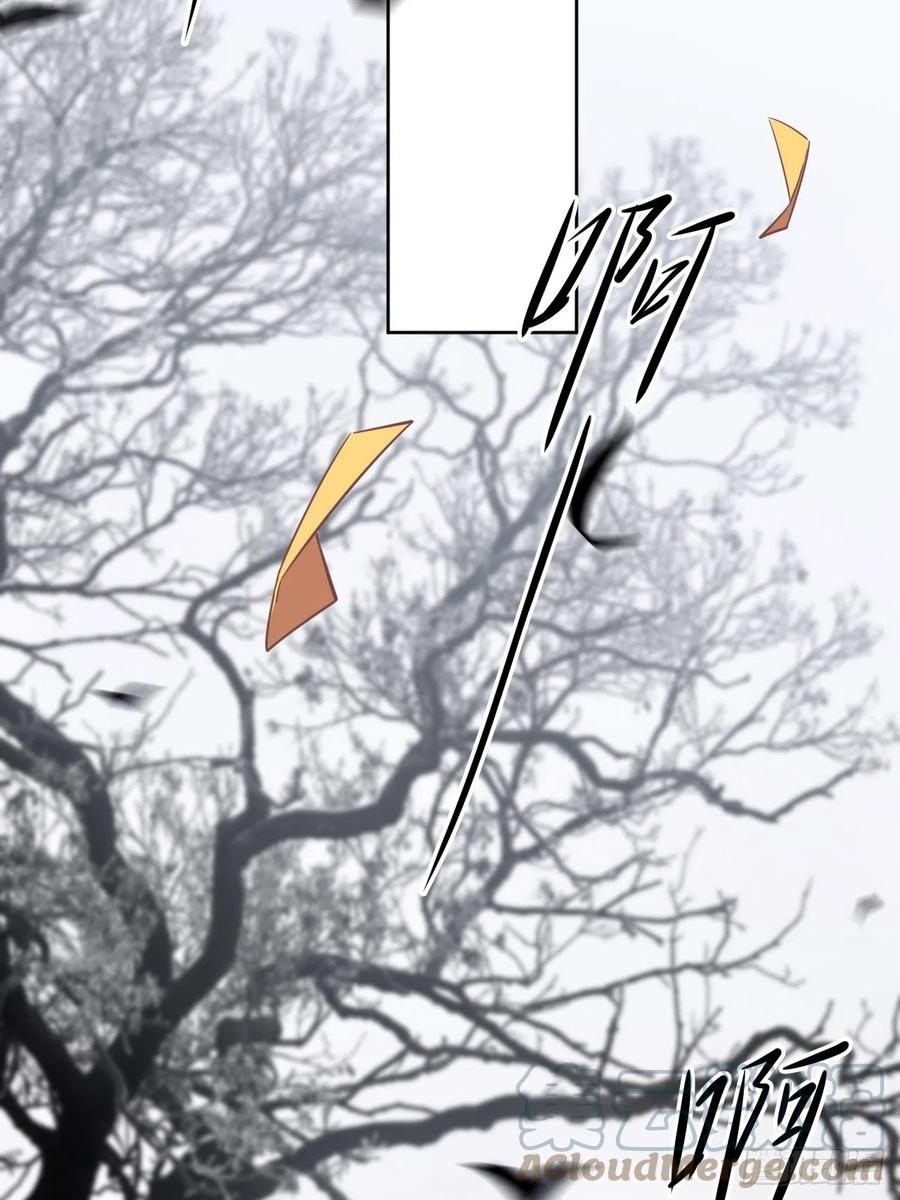 113.jpg